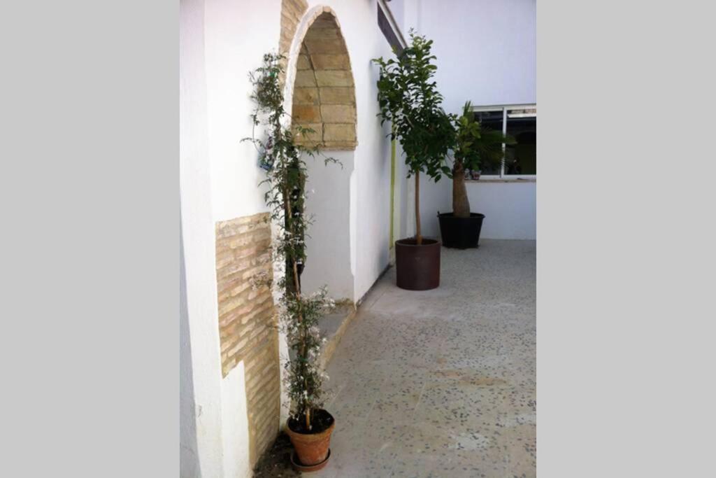 Casa Florinda #7 Apartment Херес де ла Фронтера Екстериор снимка